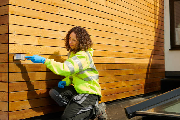 Professional Siding in Ossun, LA